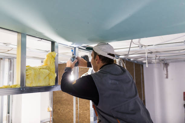Best Insulation for New Construction  in Calverton Park, MO