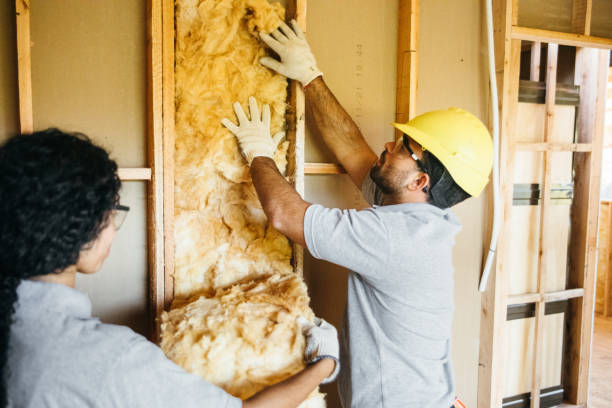 Best Wall Insulation Contractor  in Calverton Park, MO