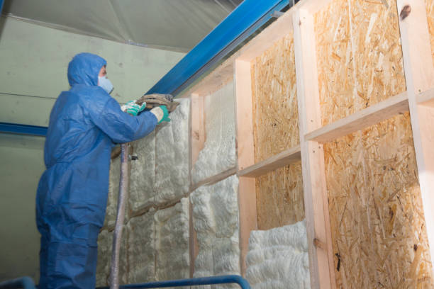 Best Insulation Contractors for Homes  in Calverton Park, MO
